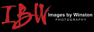 Images by Winston Photography - Atlanta's Best Wedding Photography